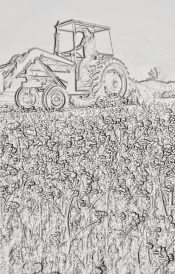 farm to face